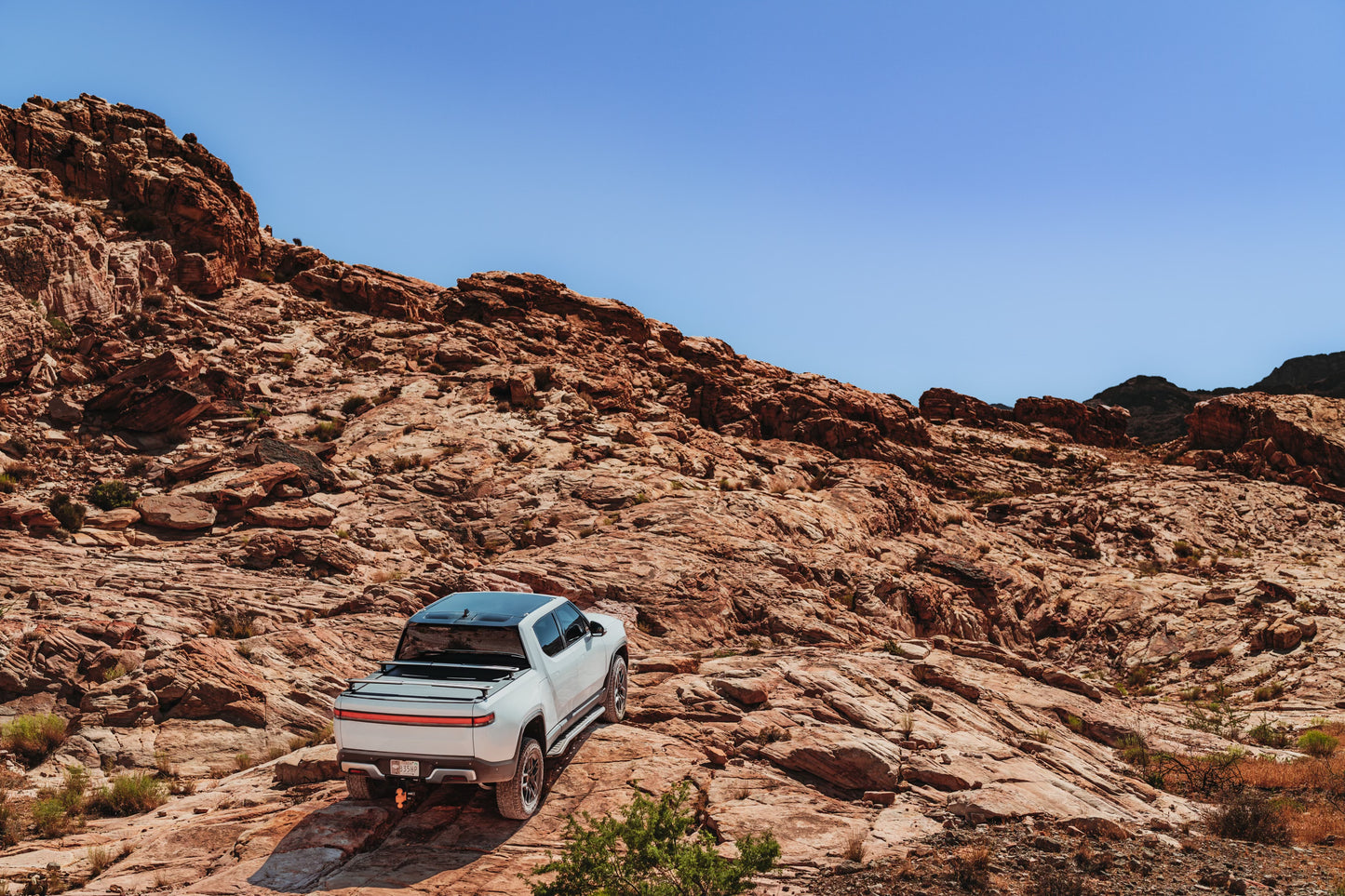 Megawatt™ Performance Rock Sliders with Step for R1T