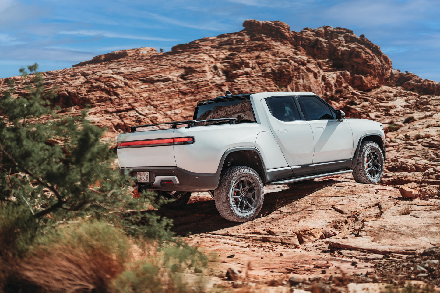 Megawatt™ Performance Rock Sliders with Step for R1T
