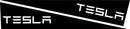 "TESLA" Bedside Panel Decals For The 2023-2024 Tesla Cybertruck (x2)-3